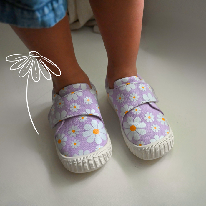 Viola | Lilac Daisy