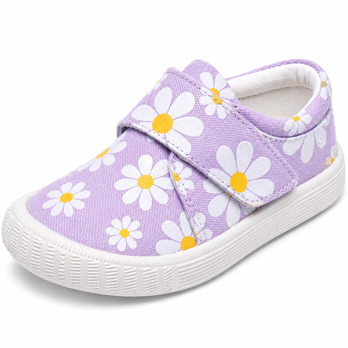 Lavender Daisy