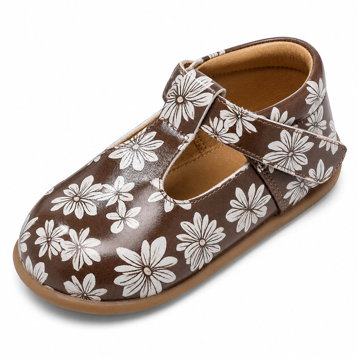 Cocoa Daisy