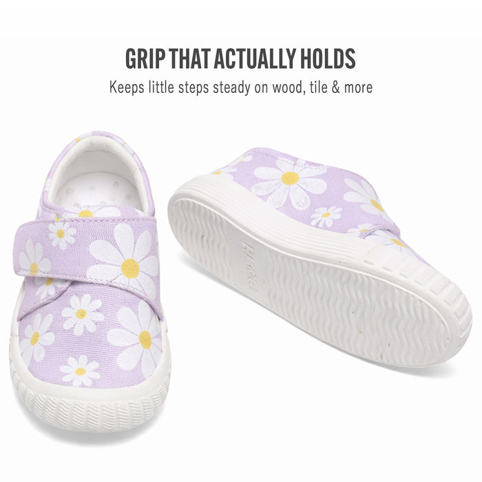 Lavender Daisy