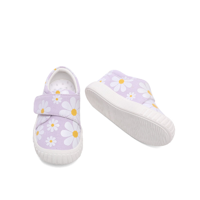 Viola | Lilac Daisy