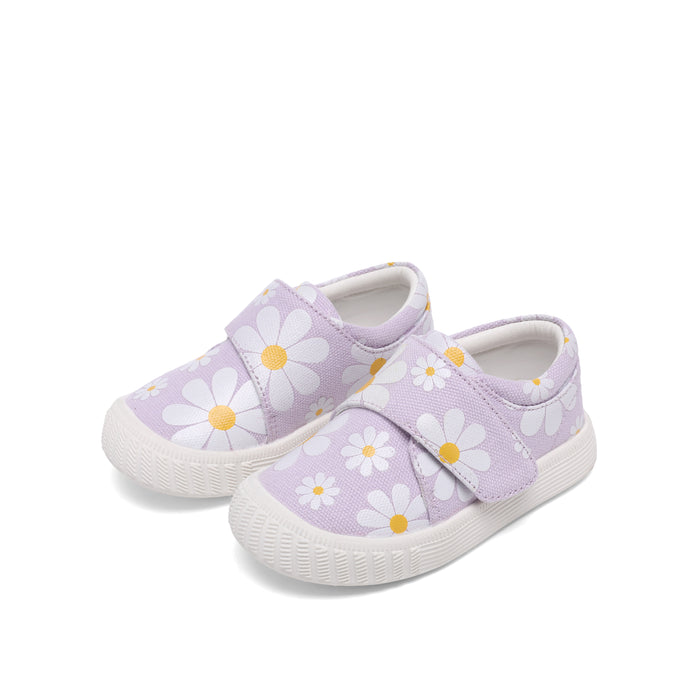 Viola | Lilac Daisy